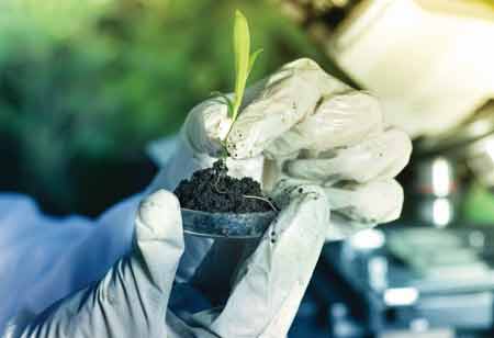 Enhancing Cannabis Farming With Smart AI Technologies